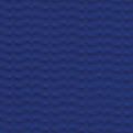 vignette-couleurs_vives_bleu